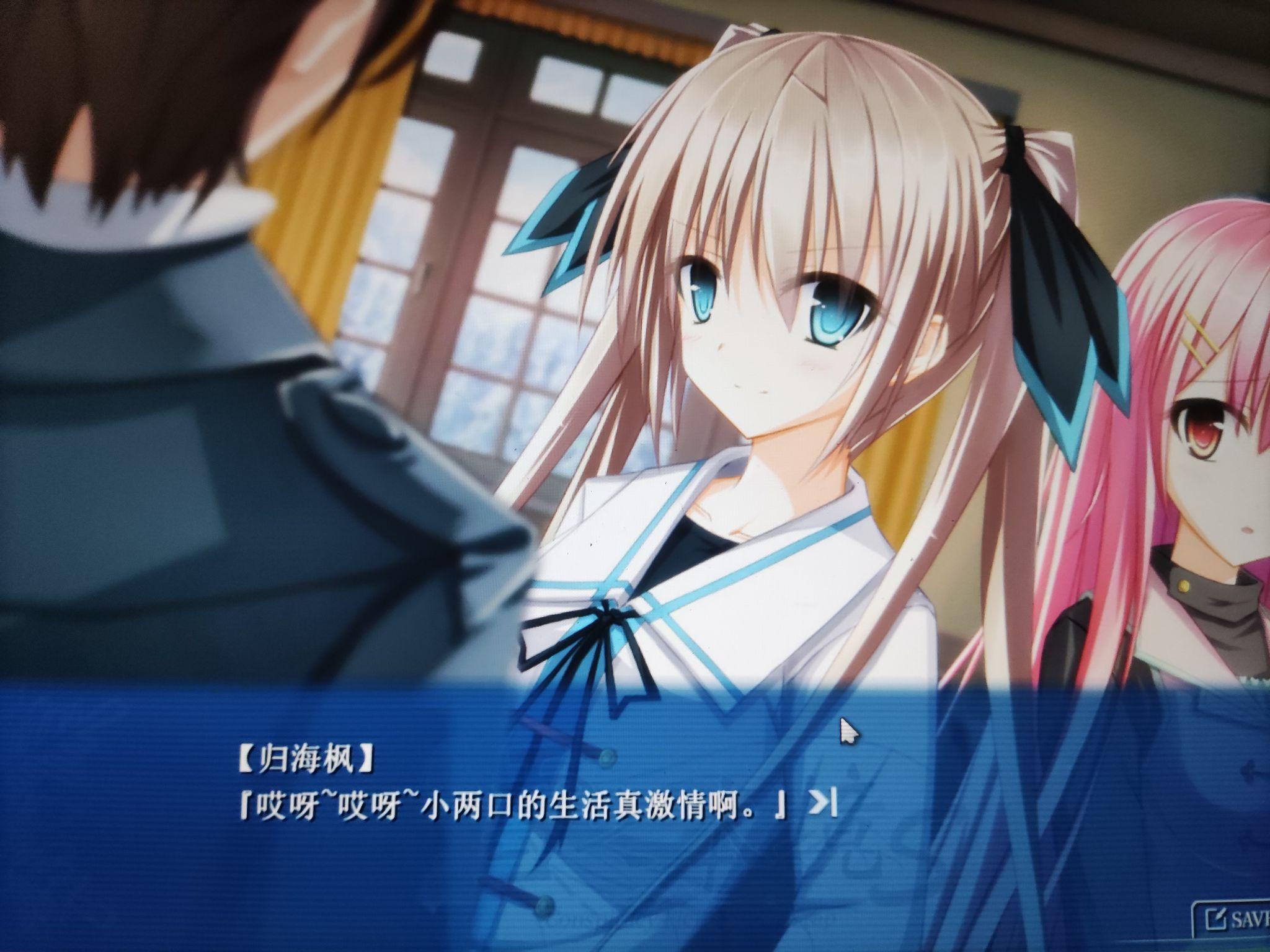 如何评价新上线的国产视觉小说游戏《雪之本境 s》?