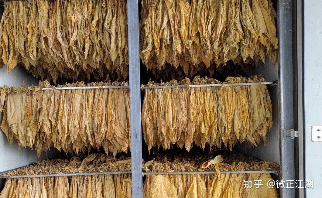 云南米数电气(昌润烤房设备厂家):梳式烟夹 助农增收 - 知乎