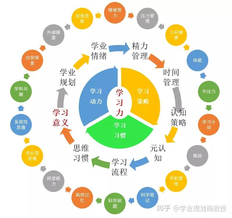 京师通创始人杨娟教授提出bma学习轮模型让孩子爱上学习学会学习