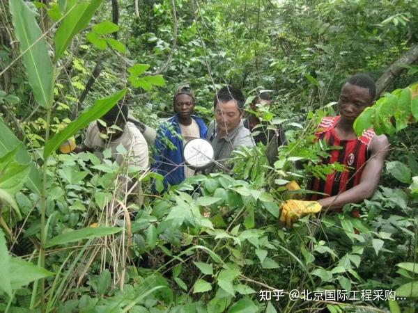 中建国际 | 跨越天堑通向刚果（布）未来的“梦想之路” - 知乎