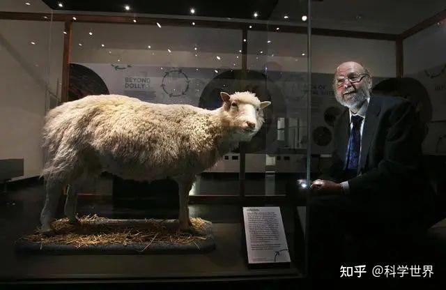 为什么现在很少提“克隆”了?看下克隆羊多莉的一生,你就明白了 - 知乎