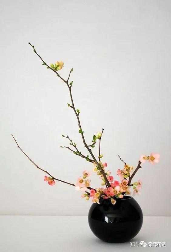 【奇梅花道】雅静的东方瓷器插花,绚丽的西方瓷器插花,你喜欢哪种?