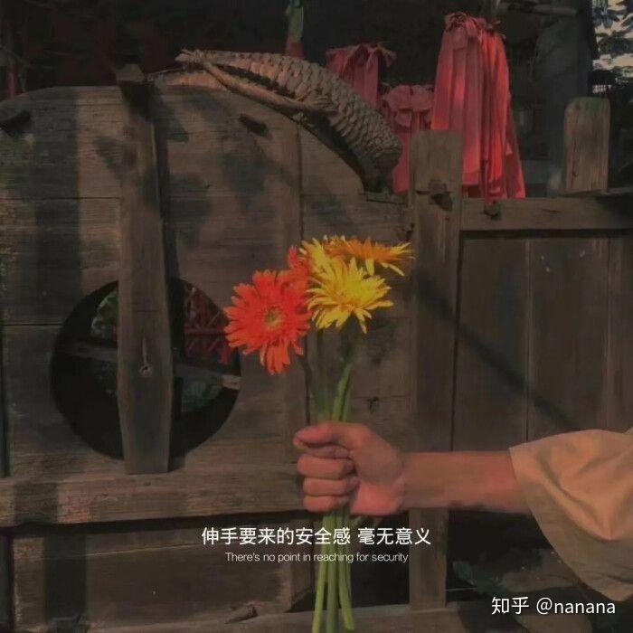 赌城月色文案沙雕,赌城月色评价