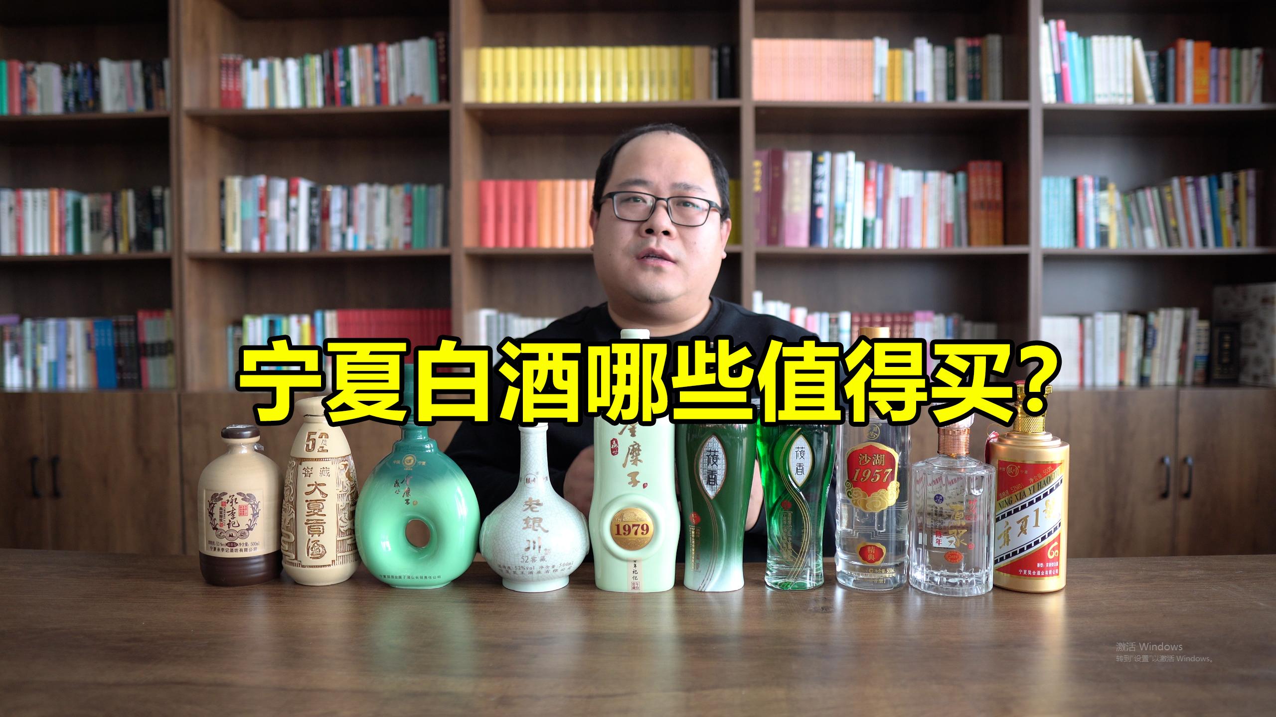 宁夏白酒测评老银川金糜子酒塞上江南沙湖春大夏贡酒