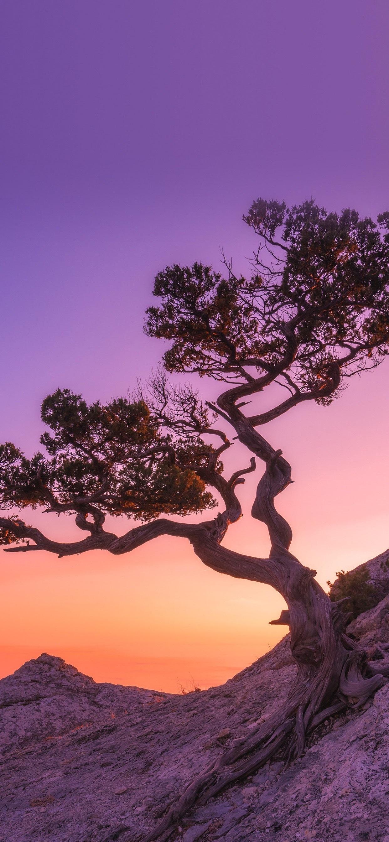 有没有一眼看上去就很舒服的壁纸或背景图? - 知乎