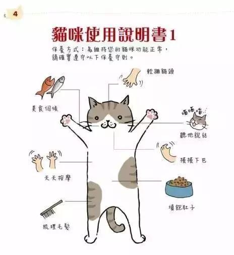中关村青年吸猫成瘾抓猫娃娃机竟成新型鸦片
