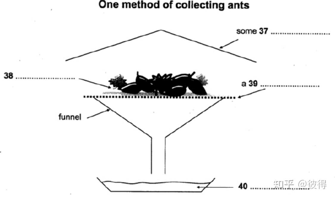 雅思阅读解析C8T4P3 Collecting Ant Specimens 知乎