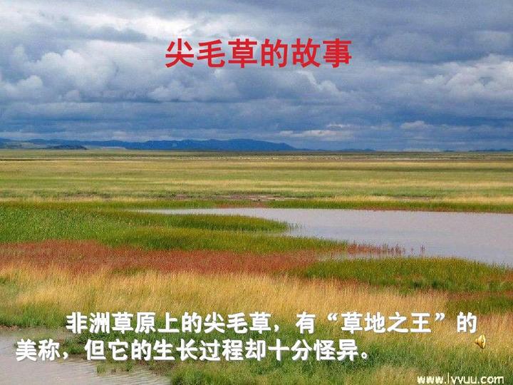 旱季长根,雨季长叶 - 知乎