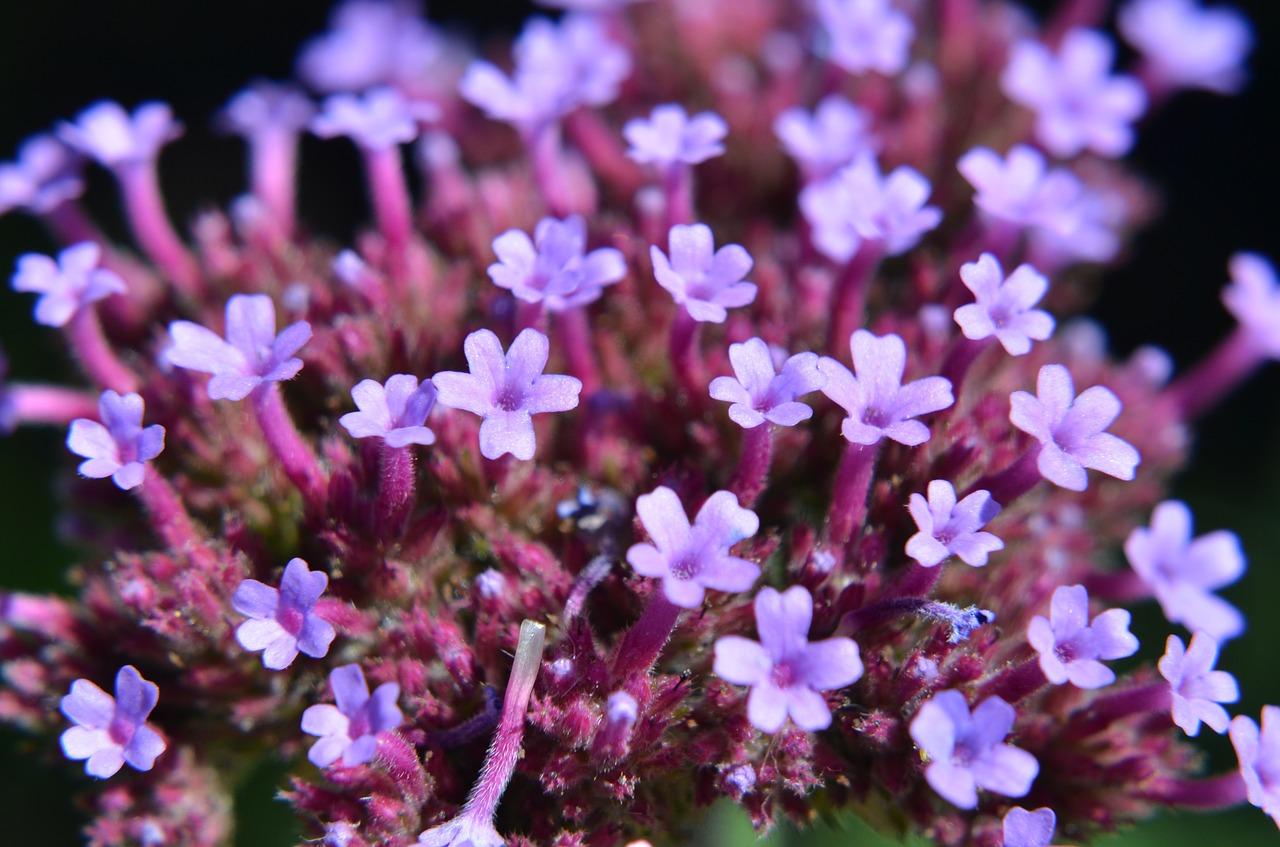 4. 适合微距拍摄