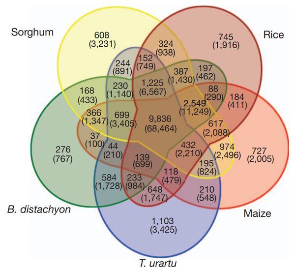 7维韦恩图 7-set venn diagram