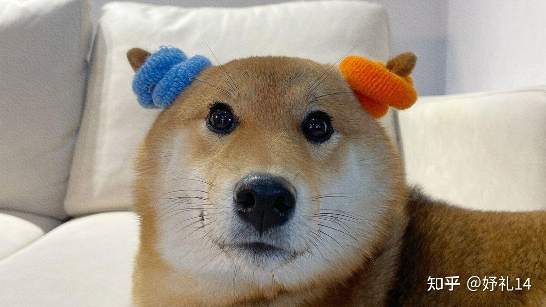 有没有适合上班发的沙雕文案