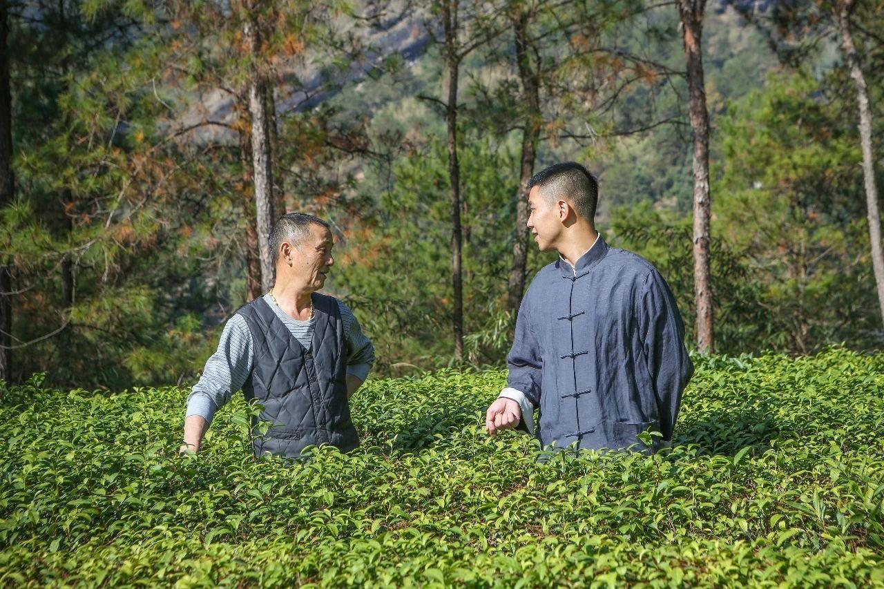 心头肉2022新品发布会定档8月7日余氏三代将领衔登场演绎武夷千年茶