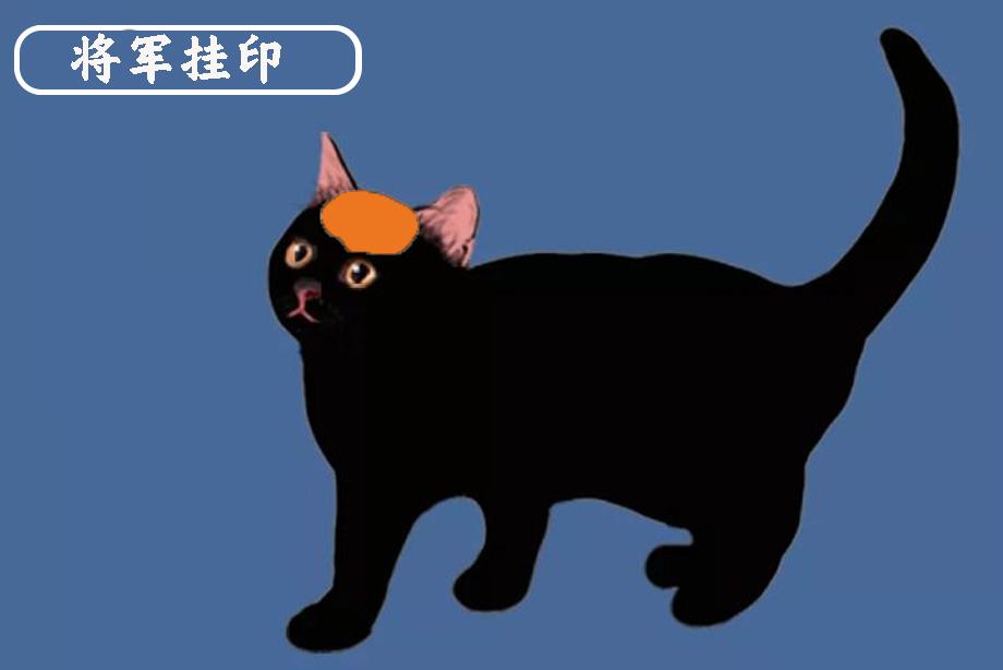 中华名猫大全将军挂印将军负印古代名猫花名册