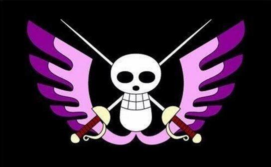 黑胡子海贼团的旗帜的寓意