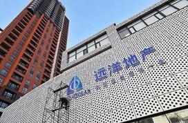 "长跑者"远洋集团:"三道红线"下0踩线,抗风险能力强