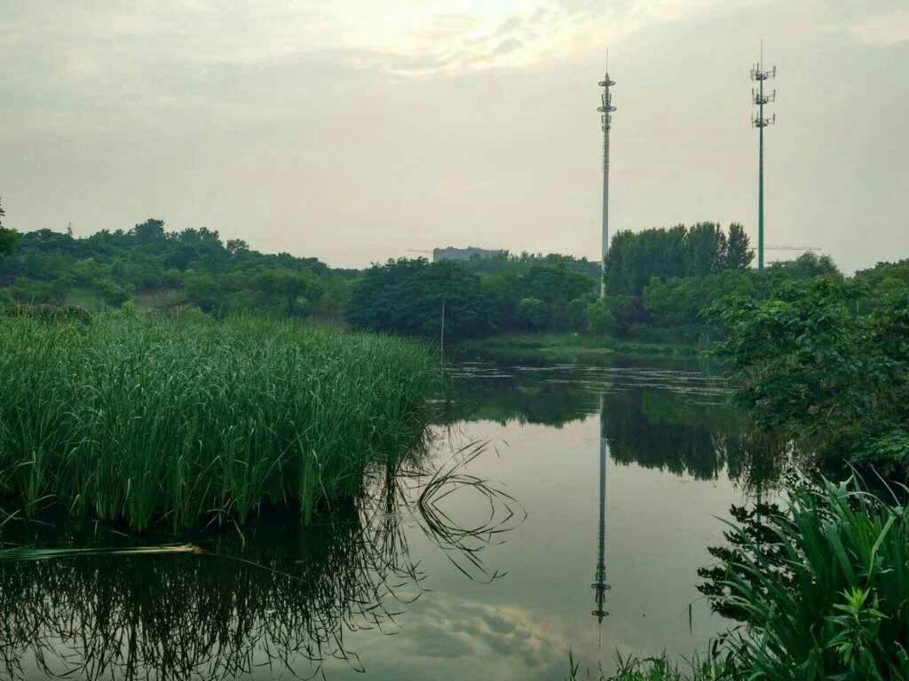 不 P 的差距究竟有多大? - 马拉的万花筒的回答