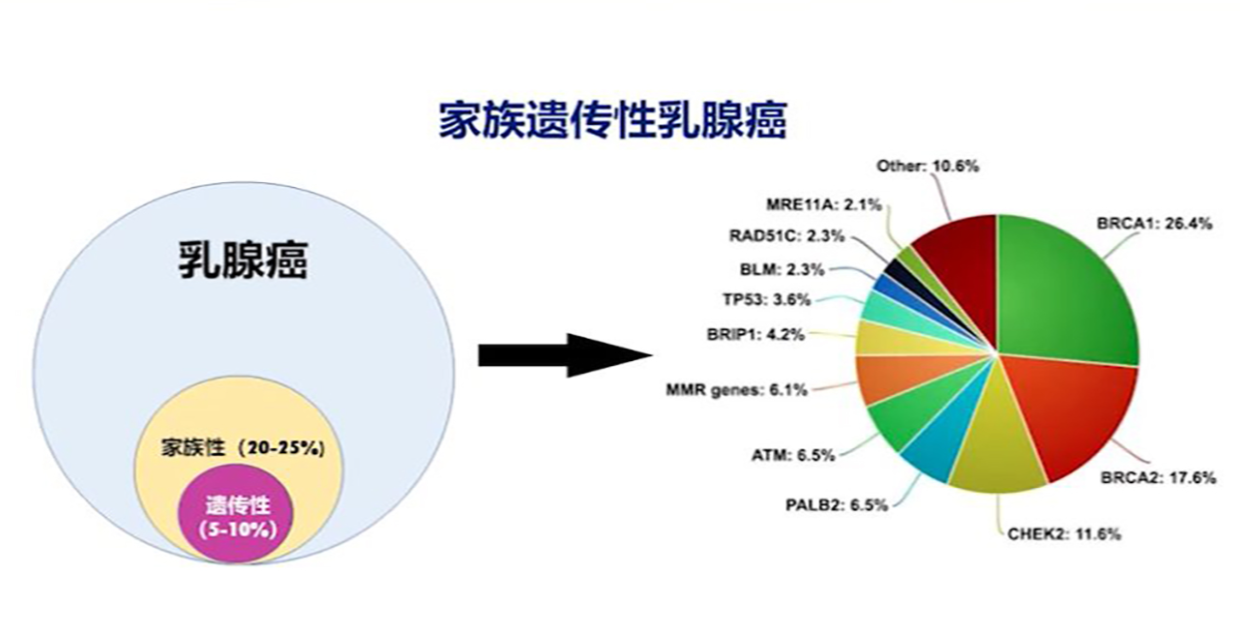 乳腺癌發病率越來越高,哪些女性更容易患乳腺癌? - 知乎