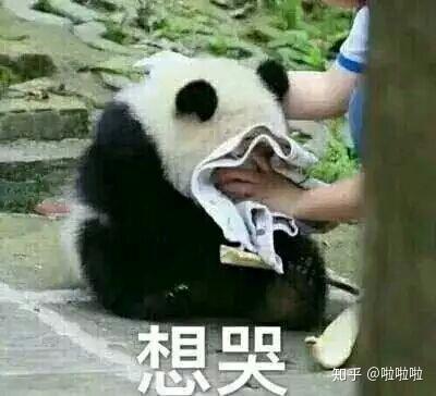 为什么我闲鱼上的东西都卖不出去怎么办?