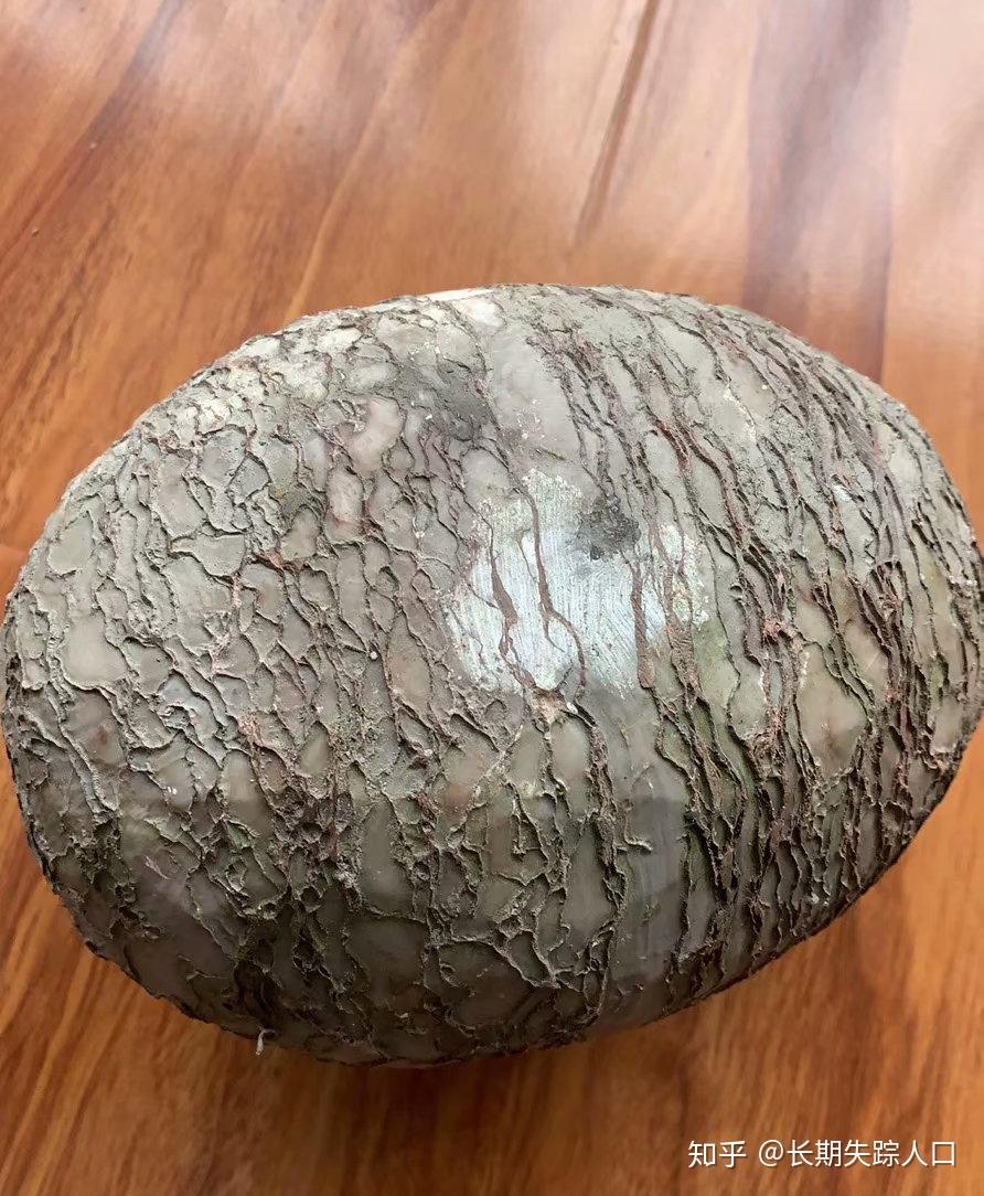 常见的5种假化石