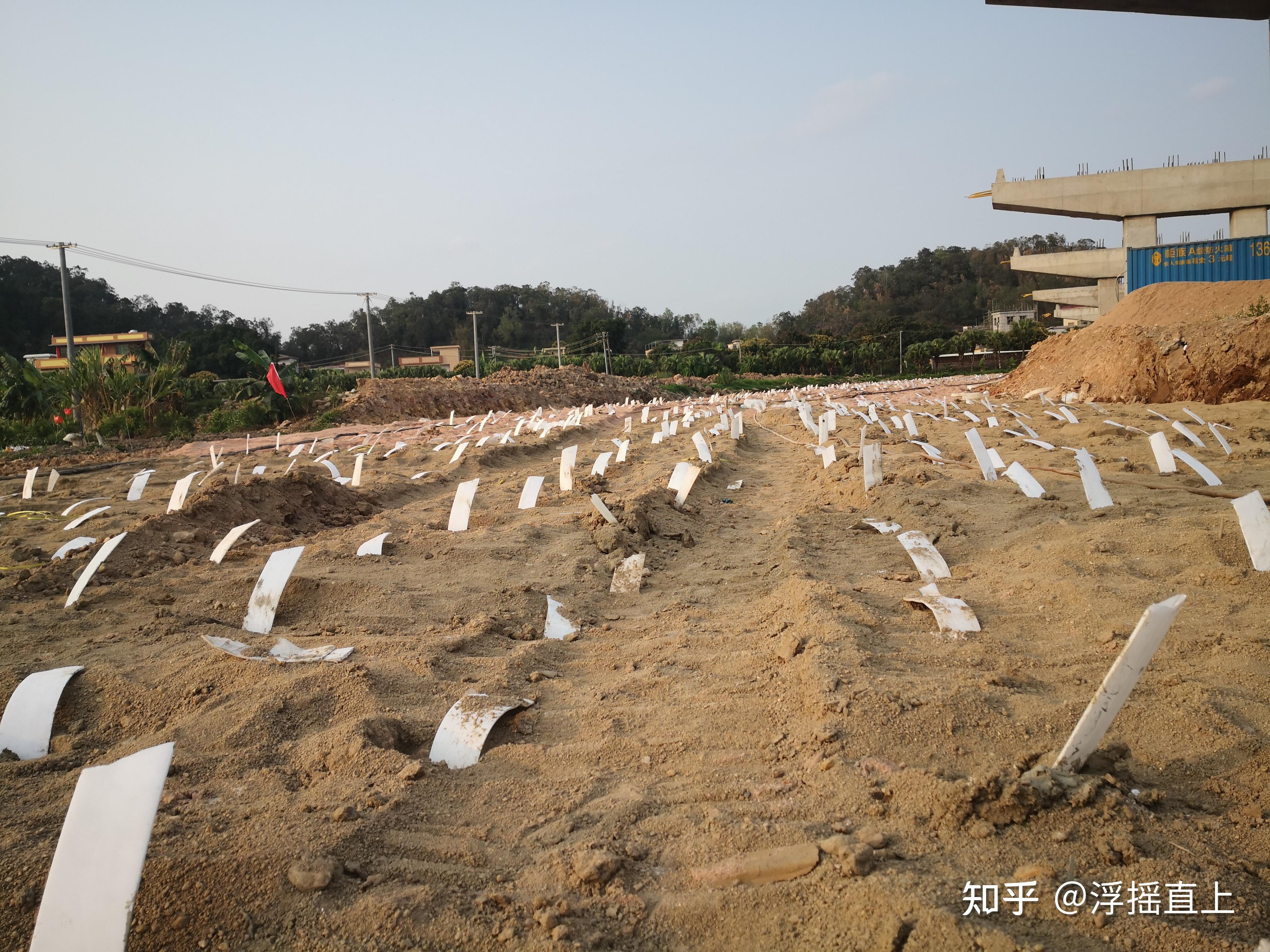 每天学点知识软基处理之塑料排水板