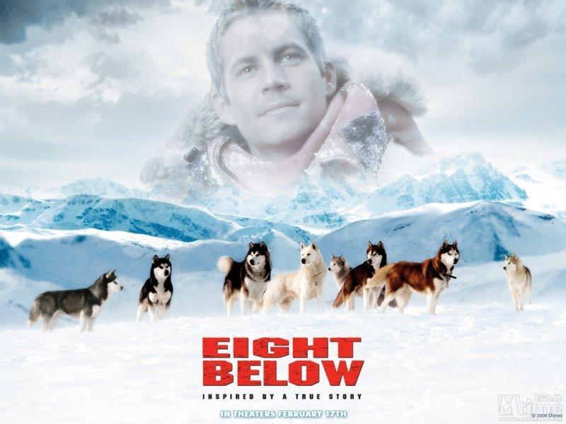 电影分享 南极大冒险eight Below 知乎