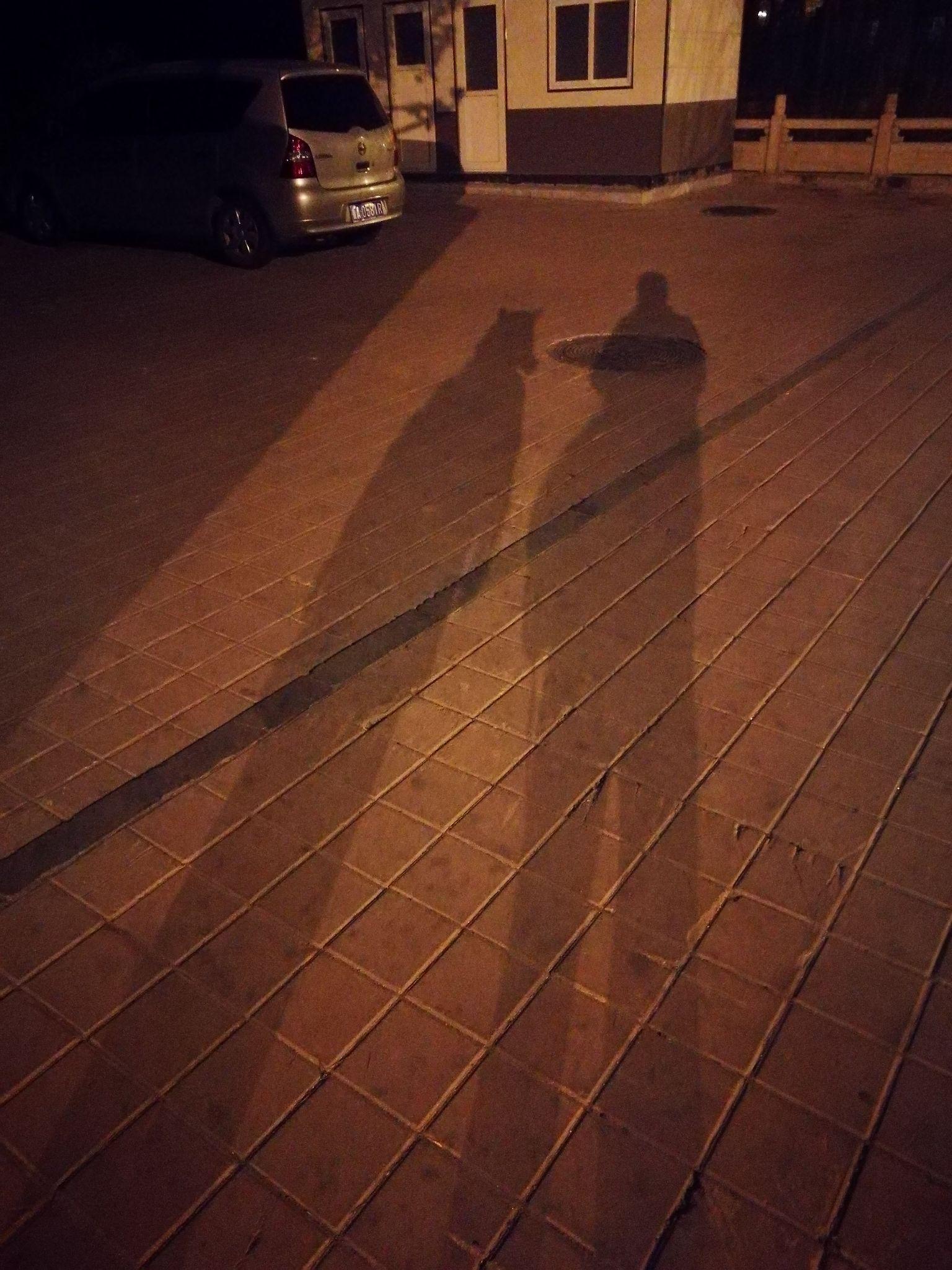 临近出发,很想多一些路灯下一高一矮的身影,很想多一些公交站牌前焦急