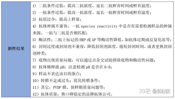 【5分钟讲透实验】影响WB实验结果的因素综述 - 知乎