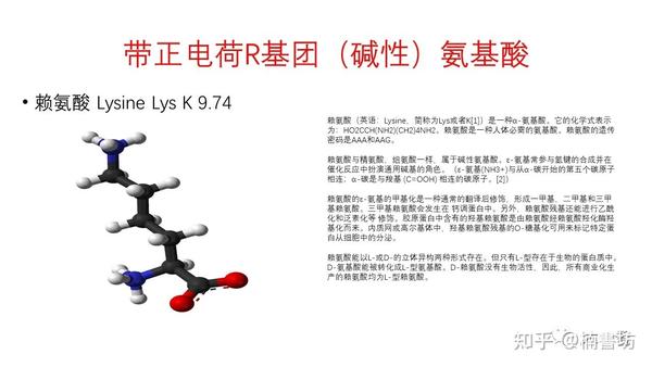 氨基酸结构式与分类 - 知乎