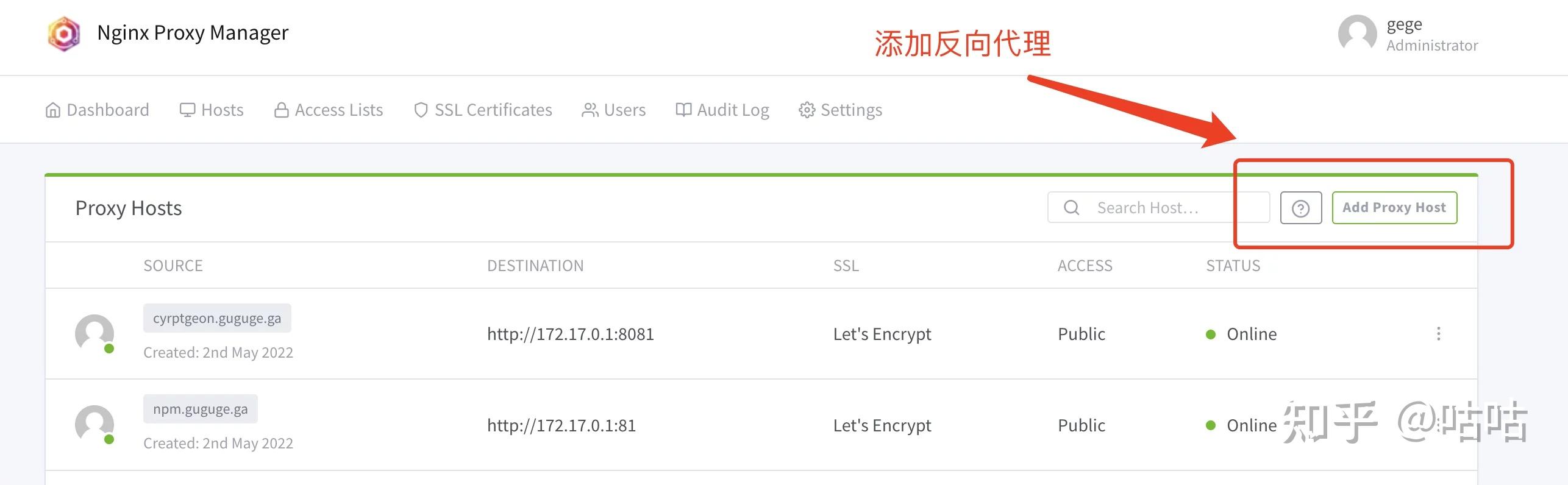  docker chatgpt next web chatgpt 