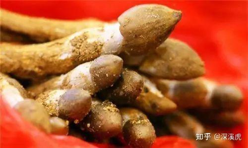 那些行走在路上的美食：荔枝菌 - 知乎