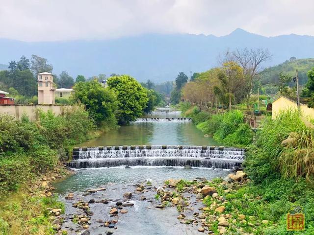 福州闽侯白沙镇孔源村里也有个花海公园油菜花正开