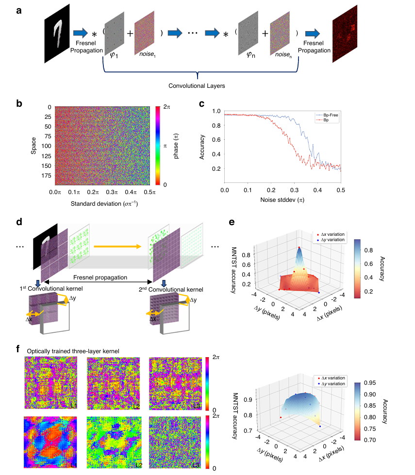 上海理工大学顾敏院士团队最新Light: science & applications:面向光学神经网络的仿生无反向传播训练! - 知乎