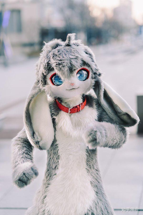 如何说服家长同意买一件17000rmb的fursuit兽装