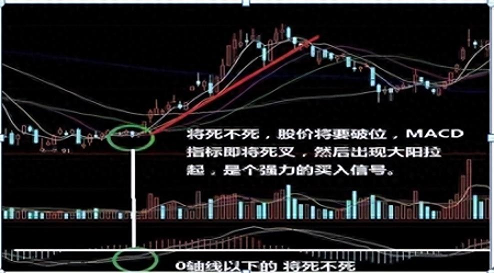 從虧損40萬賺到2000萬隻因堅持一招將死不死買進受益匪淺