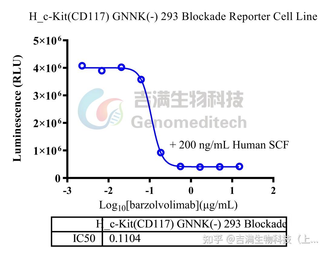 Cckit c-Kit靶点:老靶点,新潜力 - 知乎