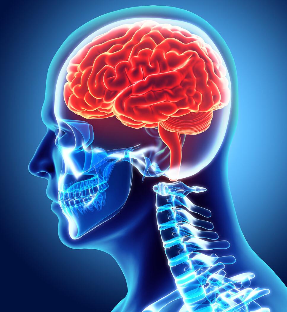 这个类型的肺癌常早期失去根治机会没脑转移时最好就做脑部放疗