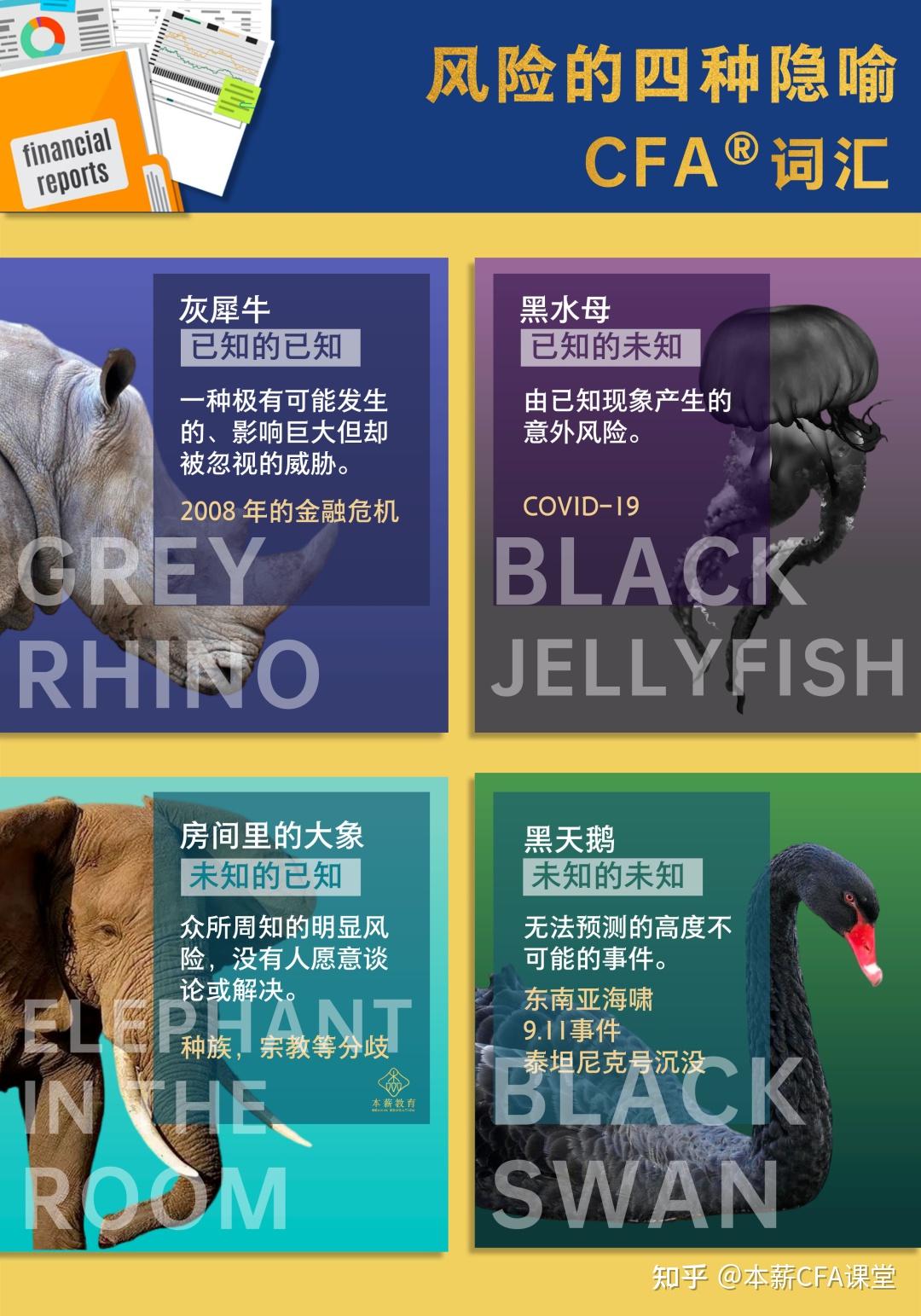 黑天鹅，灰犀牛，大象，黑水母是什么？ - 知乎