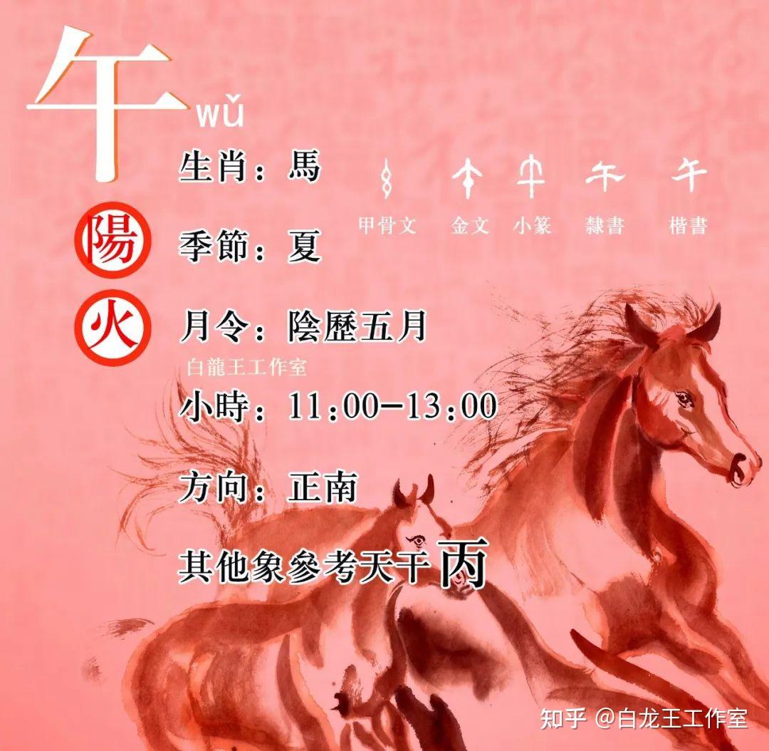 十二地支详解：午代表什么含义 - 知乎