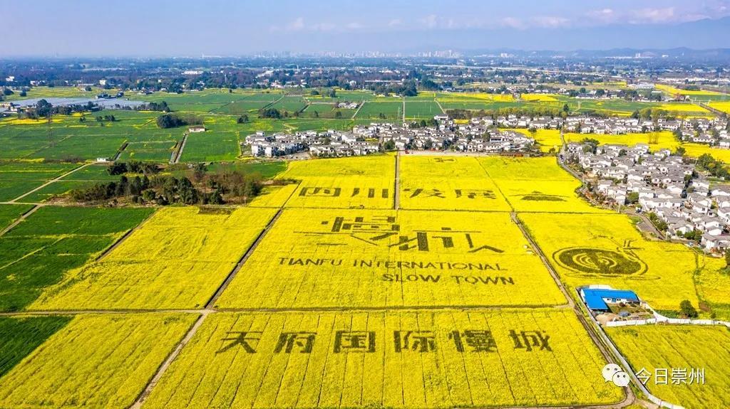 文/邓涛,强罡  编辑/曹颖图/刘朝伟,袁建,程志