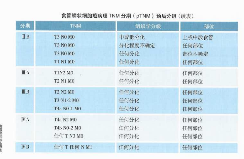 第八版食管癌tnm分期图图片