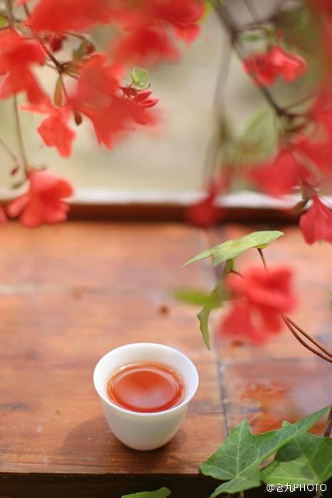 武夷山有什么好玩的?