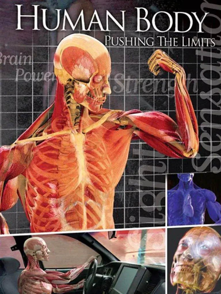 看完这部关于人体极限的纪录片我感觉自己就是超人