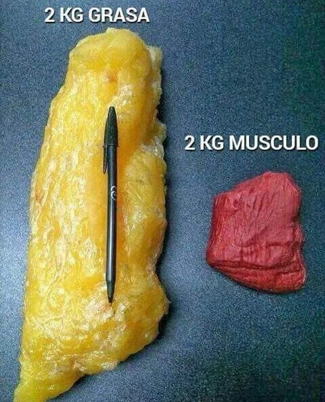 一公斤有多少卡路里?