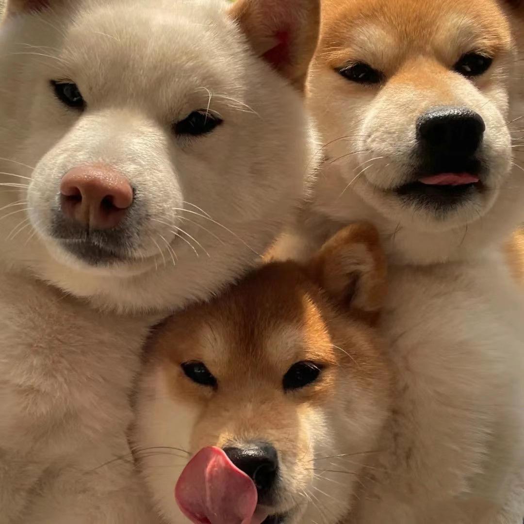 宴杨添