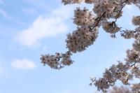 如何在日本大学院做一个 社会人 社会学修士报考指南 知乎 如何在日本大学院做一个 社会人 社会学修士报考指南 知乎