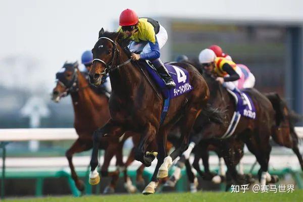 日本育马业种公马变局初现:“大震撼”时代结束 - 知乎