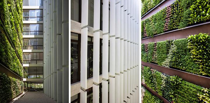 室外垂直绿化植物墙做法