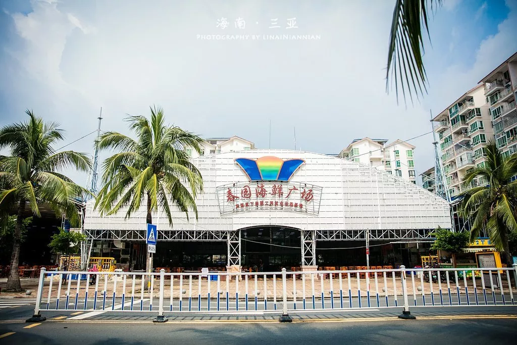 这里的海鲜不仅品种齐全,价格亲民,紧邻的新民街和椰风巷也聚集了大量