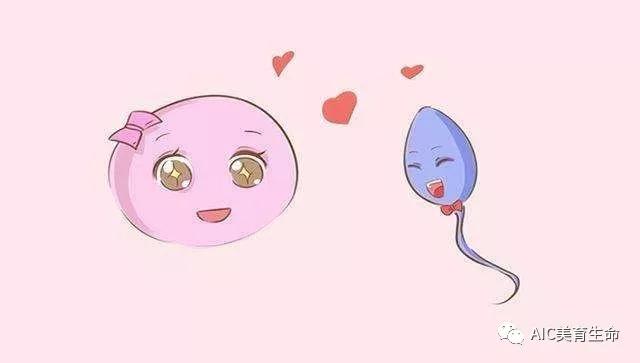 如何区分是 大姨妈 来了还是着床成功了 知乎