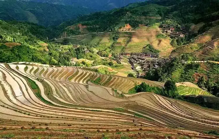 广西桂林大地最美指纹龙脊梯田四季旅游摄影攻略